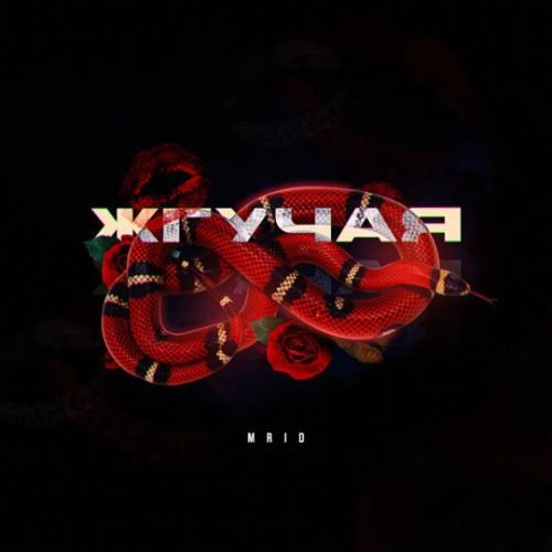 MriD - Жгучая MriD - Жгучая