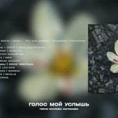 Баста, MONA, Три дня дождя, Владимир Пресняков - Луч солнца золотого Баста, MONA, Три дня дождя, Владимир Пресняков - Луч солнца золотого