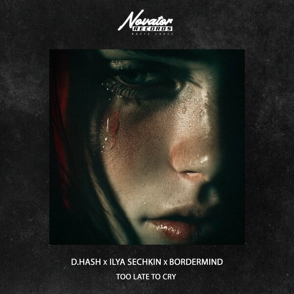 D Hash & ILYA SECHKIN & BORDERMIND - Too Late to Cry D Hash & ILYA SECHKIN & BORDERMIND - Too Late to Cry