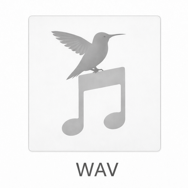 Элджей - WAV