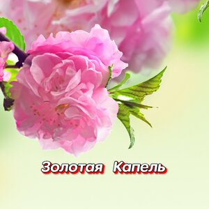 Гравитация - ТЫ МОЙ КОСМОС Гравитация - ТЫ МОЙ КОСМОС